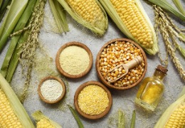 野油菜黃單孢菌發酵產生的復合多糖體——黃原膠（上）